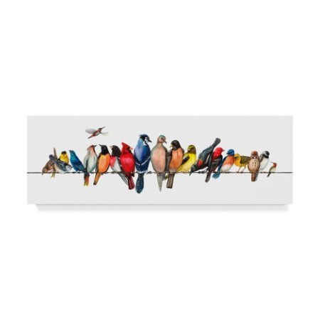 TRADEMARK FINE ART Wendy Russell 'Large Bird Menagerie Ii' Canvas Art, 8x24 WAG02571-C824GG